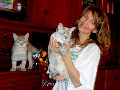 Кошачьи радости