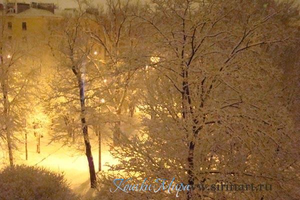 Ночь в царстве Берендея