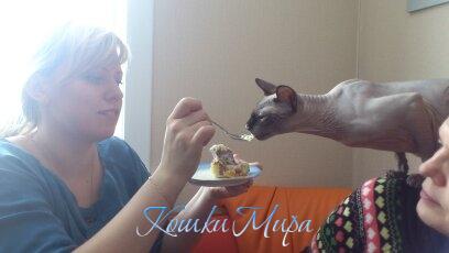 Кто как, а я люблю сладкое