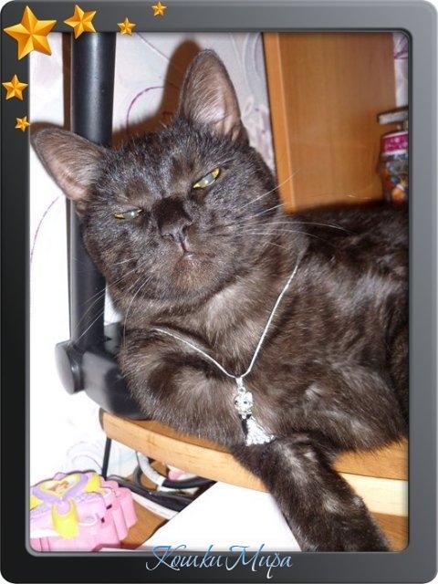 Крутой Дымус