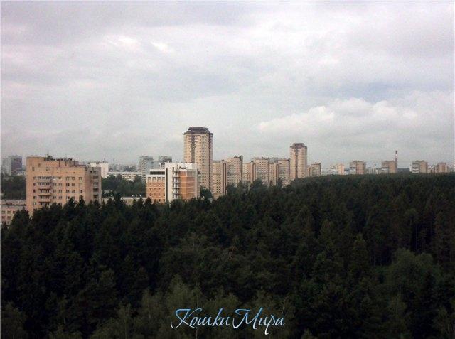 Вечерний Зеленоград