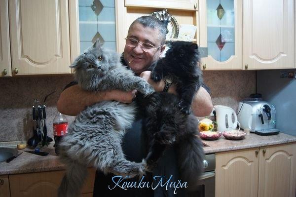 Три богатыря