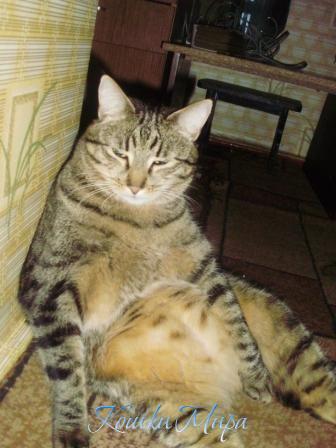 Не будите во мне зверя...