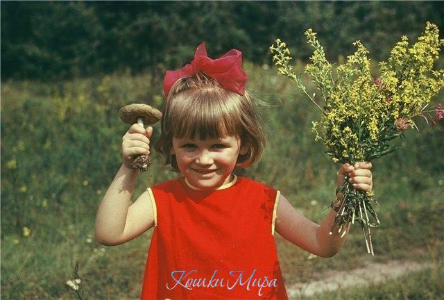 Детство... лето... как прекрасно!