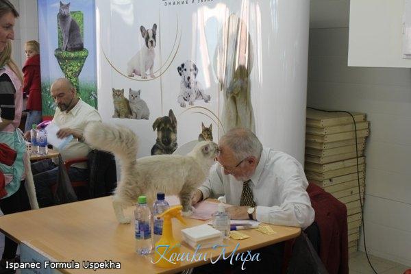 Поцеловал на выставке судью в лобик. Что это: игра ... или жизнь такая?