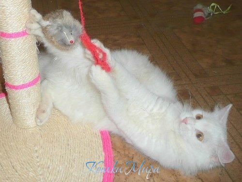 Фитнес для блондинки