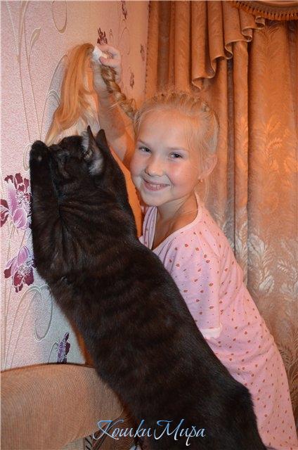 Косичковая охота