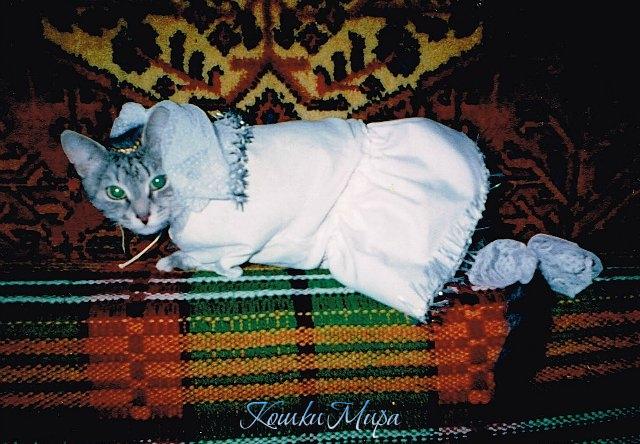 Новогодняя снежинка