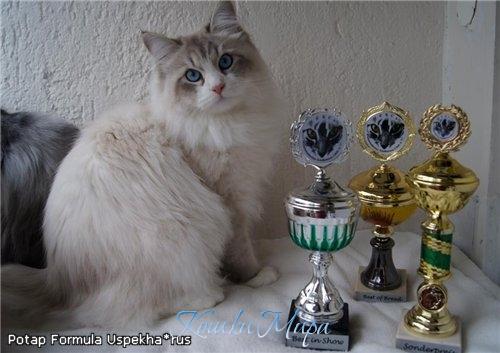 Эх! Сходил вчера на охоту... на выставку. Вот таких трофеев набрал