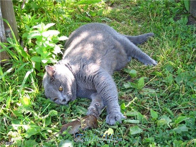 Это моя добыча!