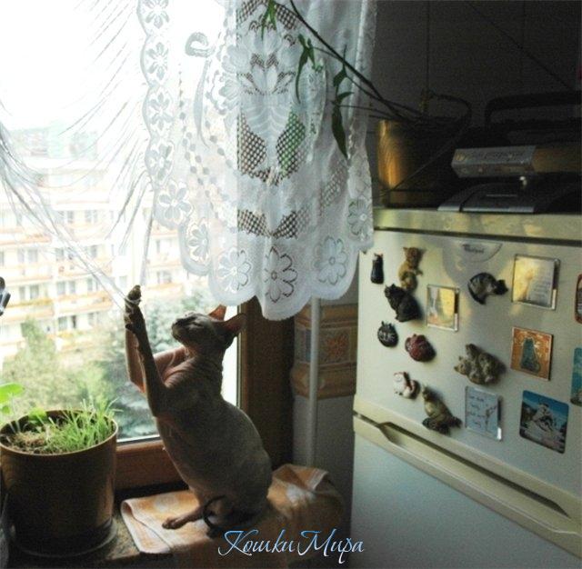 Тааак...кто это там попался?