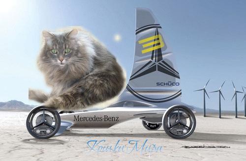 Эх, прокачусь с ветерком. Ну, поехали!