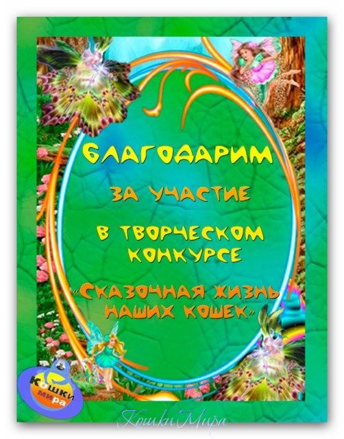 Диплом-благодарность