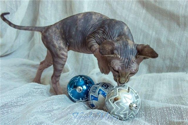 Я хочу танцевать на воздушных шарах...