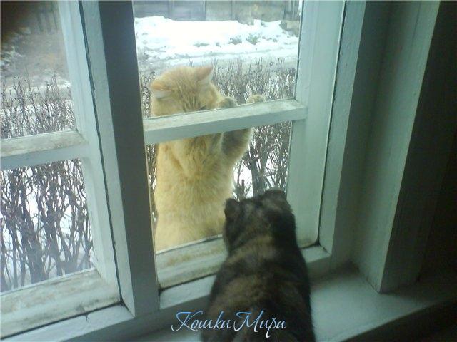 Заявился свататься-я не стала прятаться!