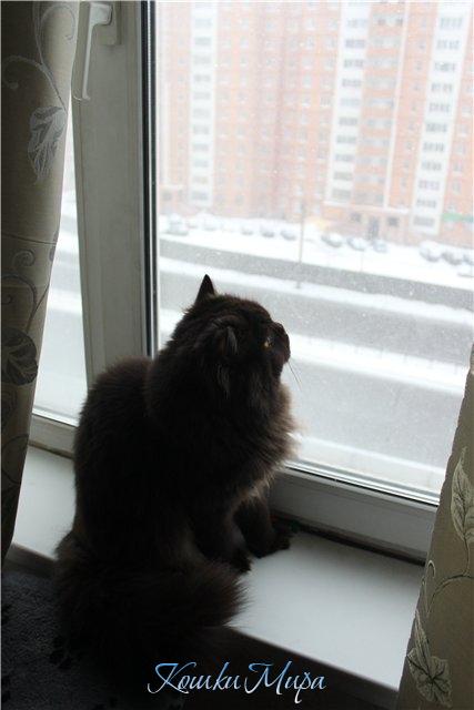 Мама, где весна? Почему не приходит?