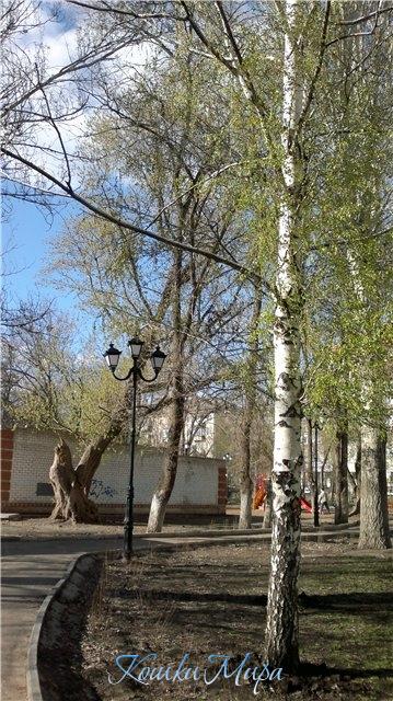 Просто весна!