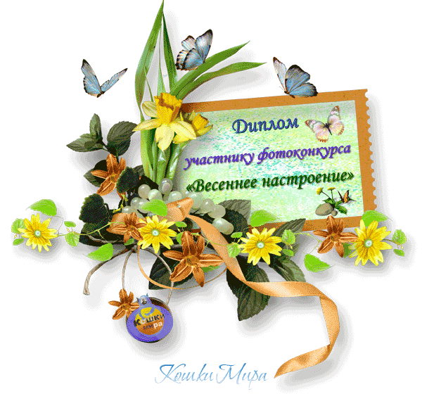 Фотоконкурс «Весеннее настроение»