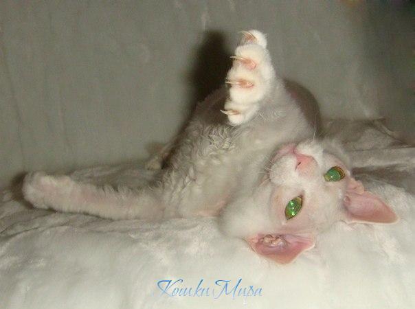 Маленькая красотка