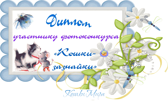 Диплом участника фотоконкурса «Место под солнцем»