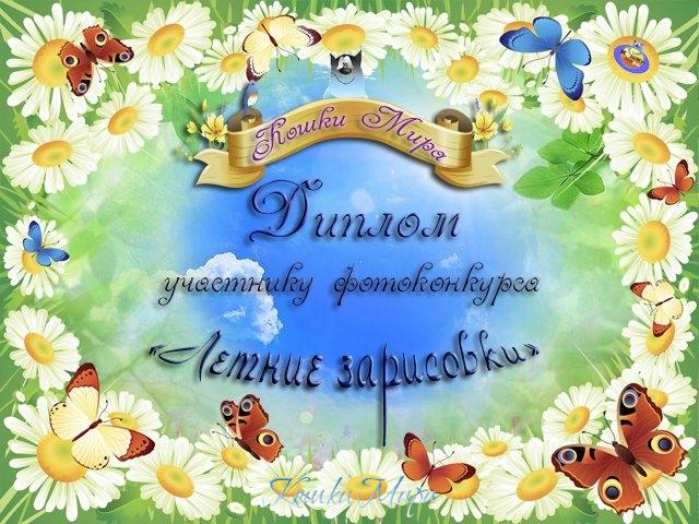 Диплом участника фотоконкурса «Летние зарисовки»