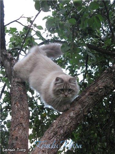 Чем ближе к солнцу, тем теплее