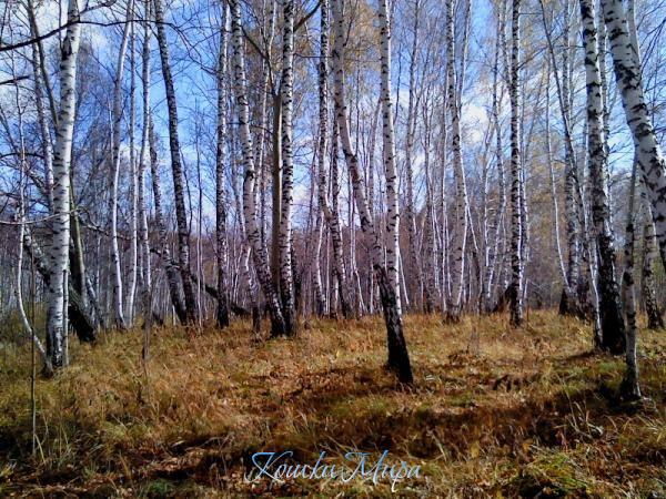 Прозрачность