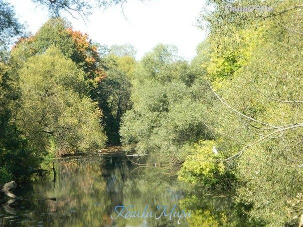 Осенняя прогулка