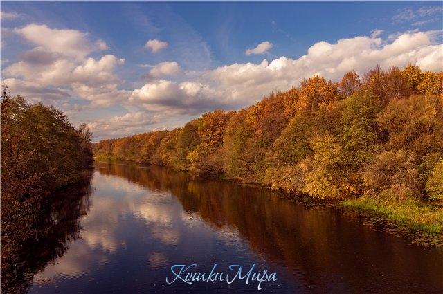 Золотая осень