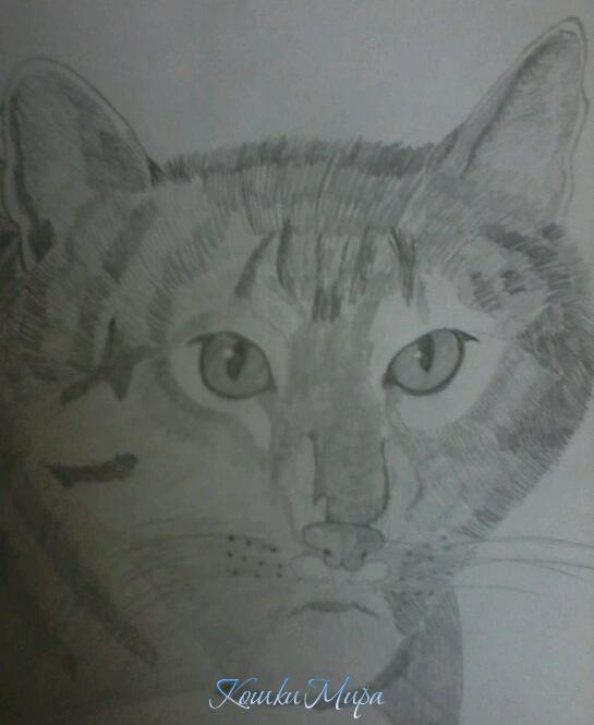 2013-09-21 17.47.46-1