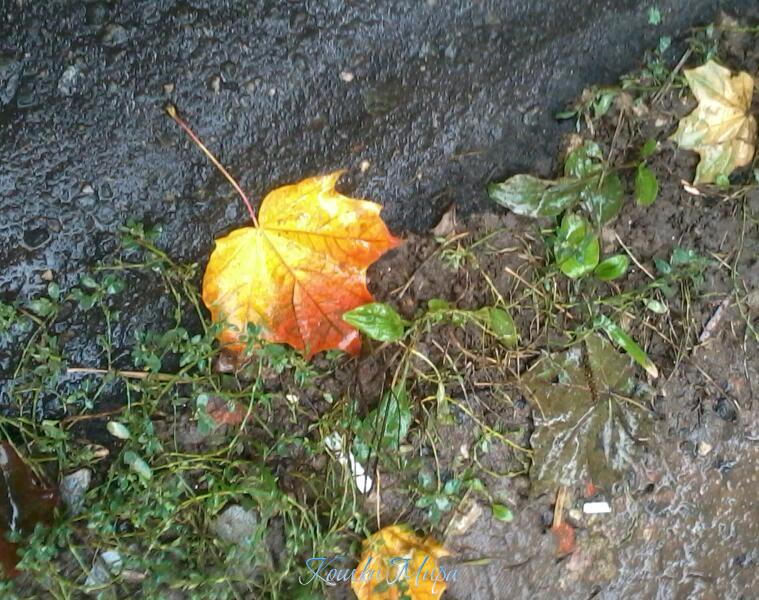 2013-09-22 15.57.35-1