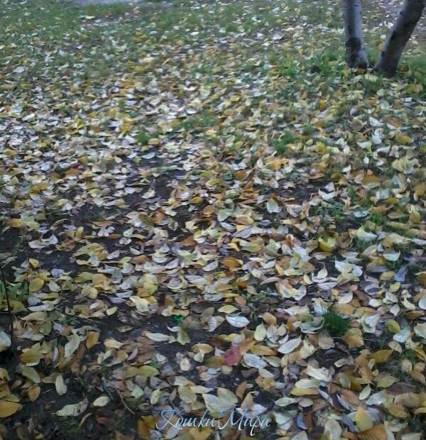 2013-09-25 14.56.02-1