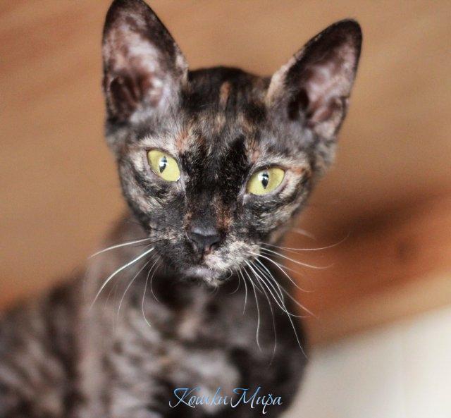 Маленькая инопланетяночка - Варвара