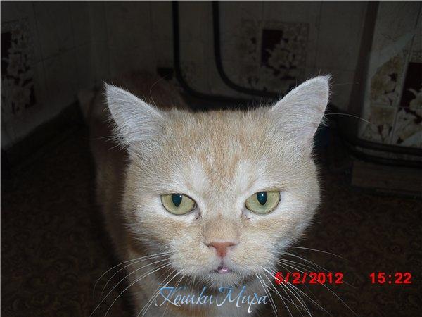 Не скажу - куда гляжу