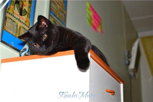 И где же мои мама с папой....