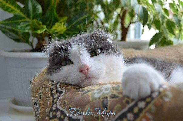 Ты хочешь увидеть вечность? Ты ей посмотри в глаза...