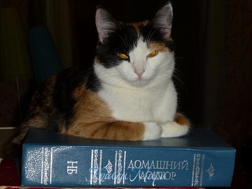 Целительница Клеопатра - помурчу, да излечу