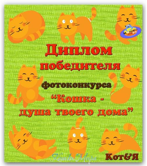 Диплом победителя фотоконкурса «Кошка - душа твоего дома»