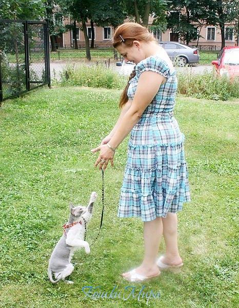 Мама, хочу на ручки!