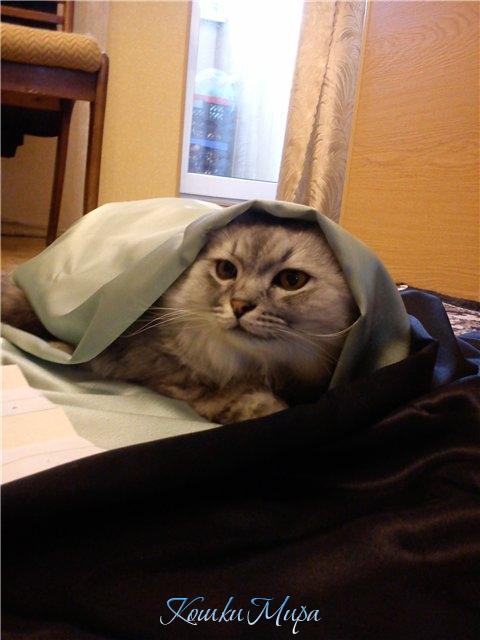 Я не закройщик, я только учусь