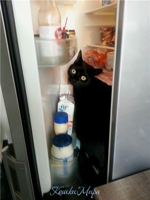 Я тут... молочка...просто попить