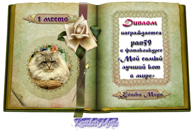 Диплом 1 место в фотоконкурсе «Мой самый лучший кот в мире»