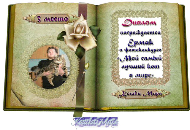 Диплом 3 место в фотоконкурсе «Мой самый лучший кот в мире»