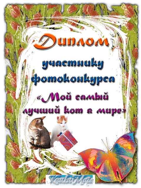 Диплом участника фотоконкурса «Мой самый лучший кот в мире»