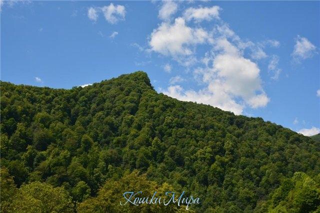 Зелёная гора