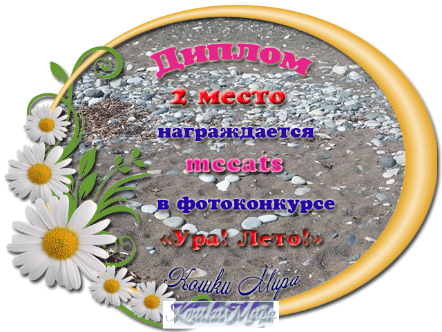 Диплом 2 место в фотоконкурсе «Ура! Лето!»
