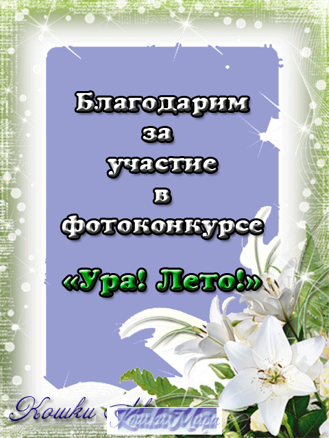 Диплом участника