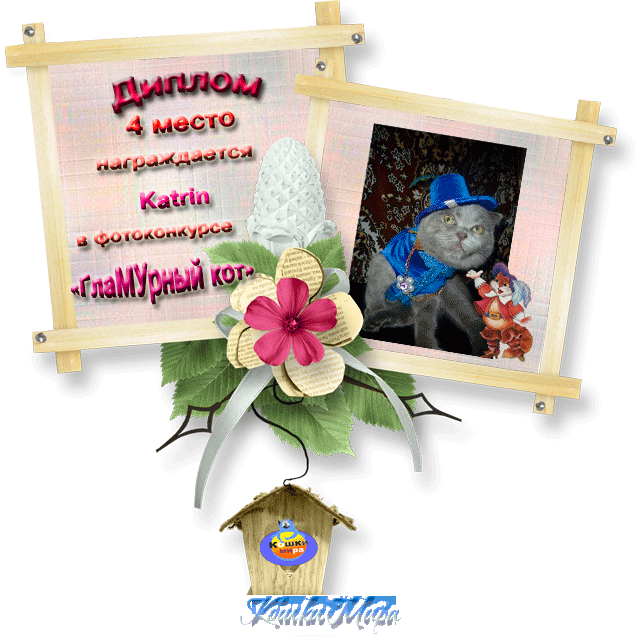 Диплом 4 место