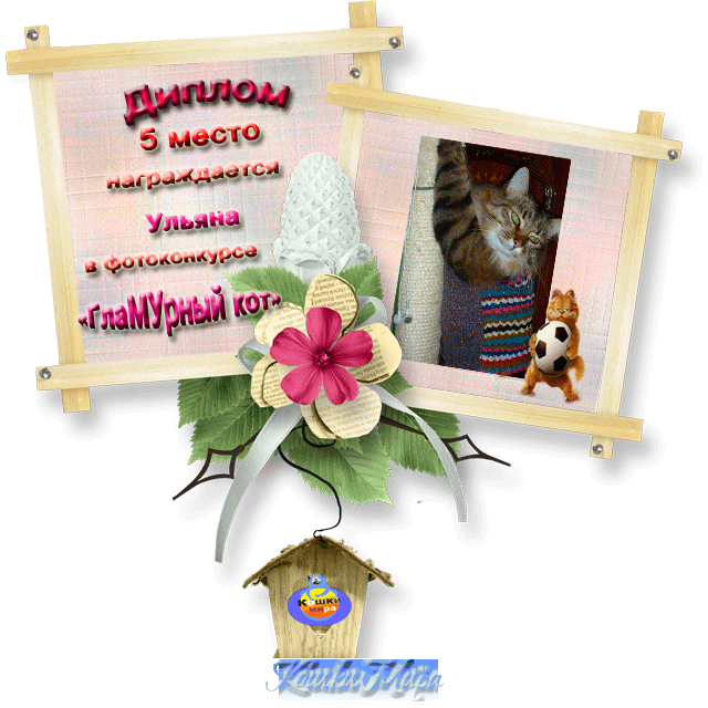 Диплом 5 место