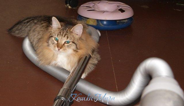 Мы немного отдохнём ..... и опять пылить начнём!!!!